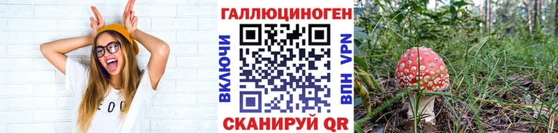 где купить наркоту  Усть-Кут  Псилоцибиновые грибы Magic Shrooms 